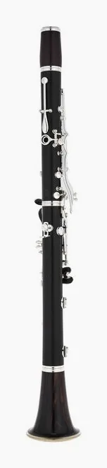 Buffet Crampon Festival Bb-Clarinet 18/6 NEW, vue 3