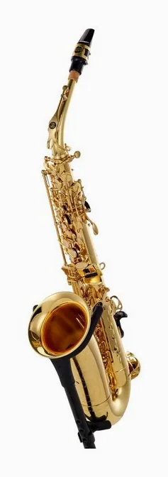 Buffet Crampon Prodige Alto Sax Set, vue 2