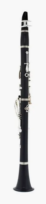 Buffet Crampon Prodige Bb-Clarinet 18/6, vue 3