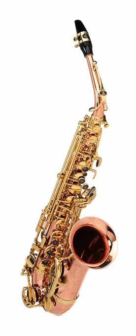 Buffet Crampon SENZO Copper Alto Sax, vue 2
