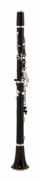 Buffet Crampon Tradition A-Clarinet 19/6, vue 2
