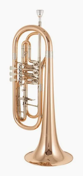 Cerveny CTR 792-3 Bass Trumpet, vue 2