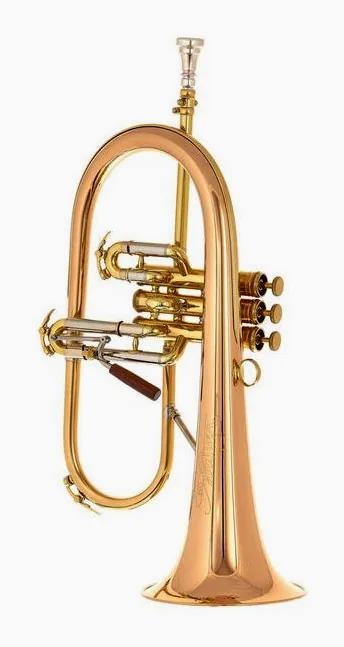 C.G.Conn Vintage One Flugelhorn, vue 2