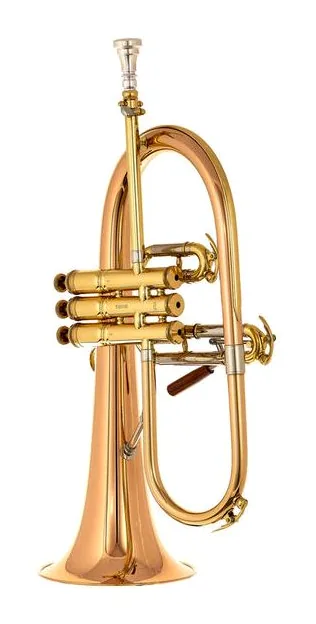 C.G.Conn Vintage One Flugelhorn, vue 3