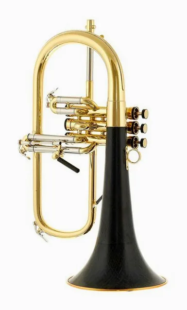 daCarbo Goldlac flugelhorn, vue 2