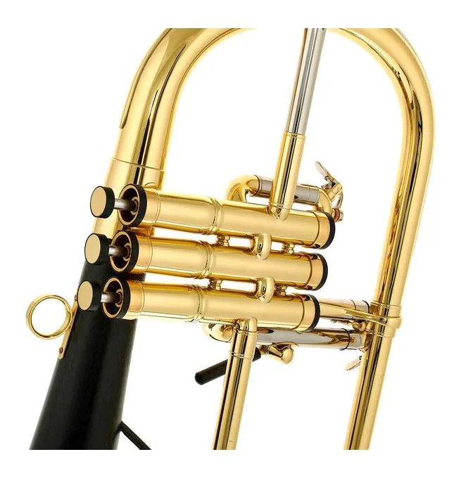 daCarbo Goldlac flugelhorn, vue 3