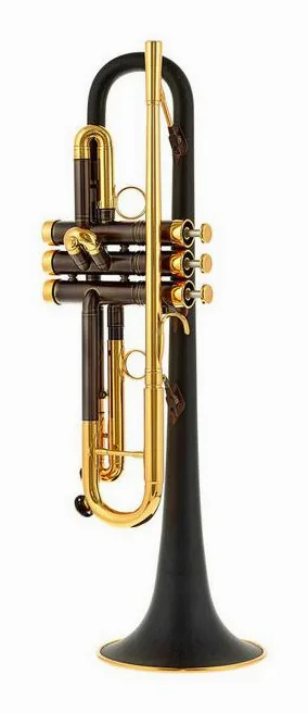 daCarbo Toni Maier 139R Bb- Trumpet, vue 2