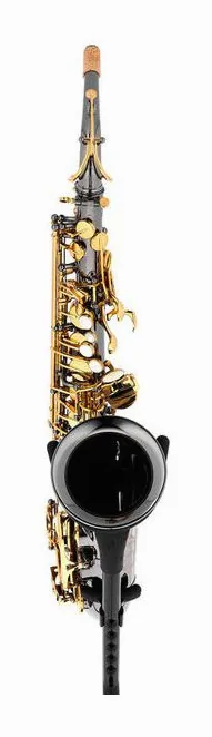Forestone GX Black Nickel Alto Sax, vue 2