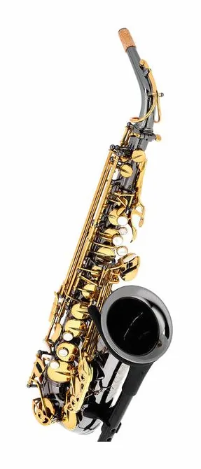 Forestone GX Black Nickel Alto Sax, vue 3