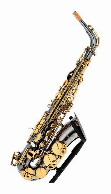 Forestone GX Black Nickel Alto Sax, vue 4