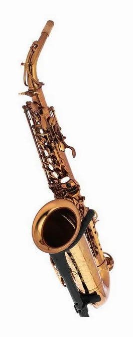 Forestone GX Cognac Lacquered Alto Sax