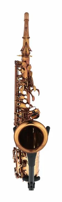 Forestone GX Cognac Lacquered Alto Sax, vue 2
