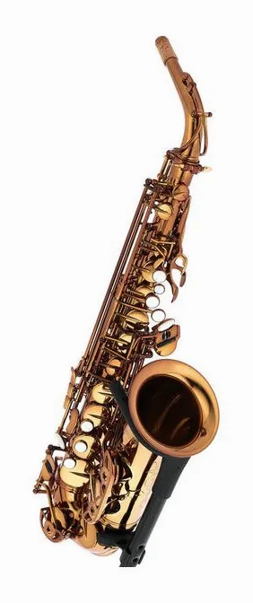 Forestone GX Cognac Lacquered Alto Sax, vue 3