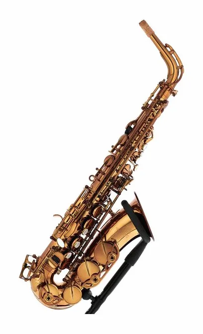 Forestone GX Cognac Lacquered Alto Sax, vue 4