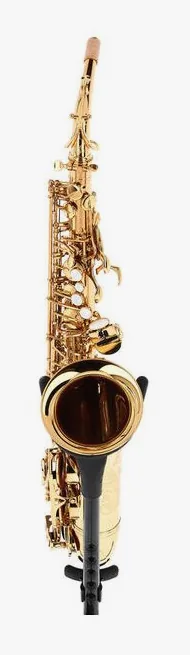 Forestone GX Gold Lacquered Alto Sax, vue 2