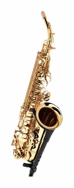 Forestone GX Gold Lacquered Alto Sax, vue 3