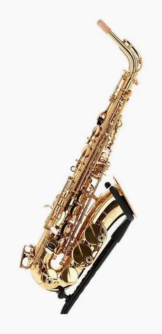 Forestone GX Gold Lacquered Alto Sax, vue 4