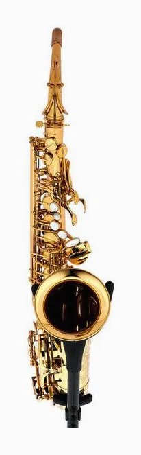 Forestone RX Gold Lacquered Alto Sax, vue 2
