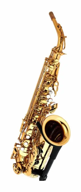 Forestone RX Gold Lacquered Alto Sax, vue 3