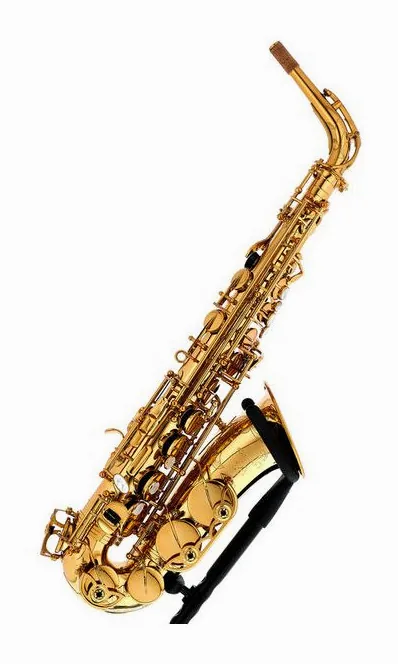 Forestone RX Gold Lacquered Alto Sax, vue 4