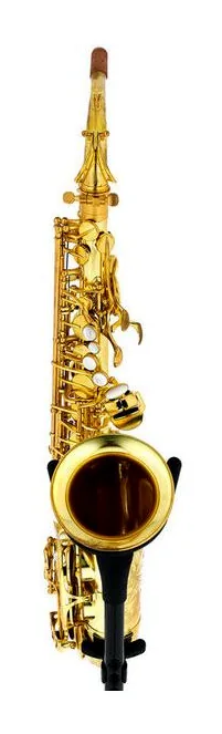 Forestone RX Unlacquered Alto Sax, vue 2