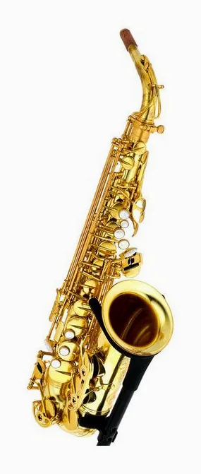 Forestone RX Unlacquered Alto Sax, vue 3