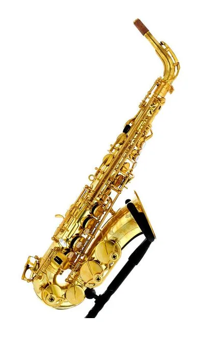Forestone RX Unlacquered Alto Sax, vue 4