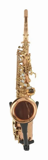 Forestone RX Red Brass GL Alto Sax, vue 2