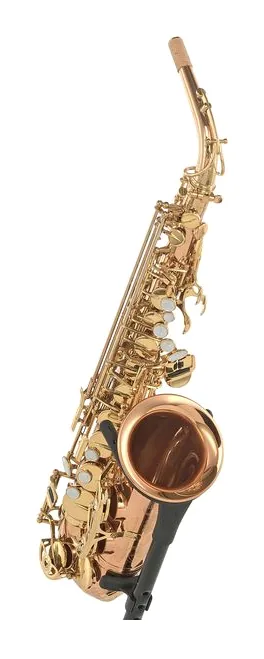 Forestone RX Red Brass GL Alto Sax, vue 3