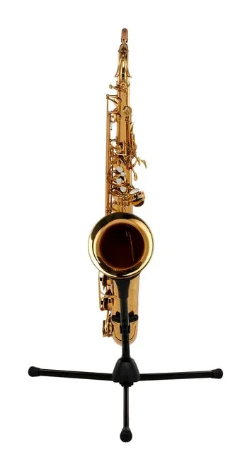 Forestone GX Gold Lacquered Tenor Sax, vue 2