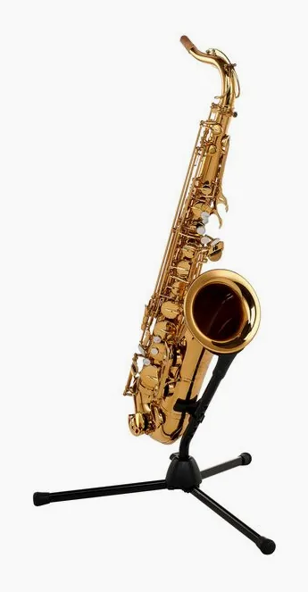 Forestone GX Gold Lacquered Tenor Sax, vue 3