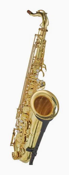 Forestone RX Unlacquered Tenor Sax, vue 3