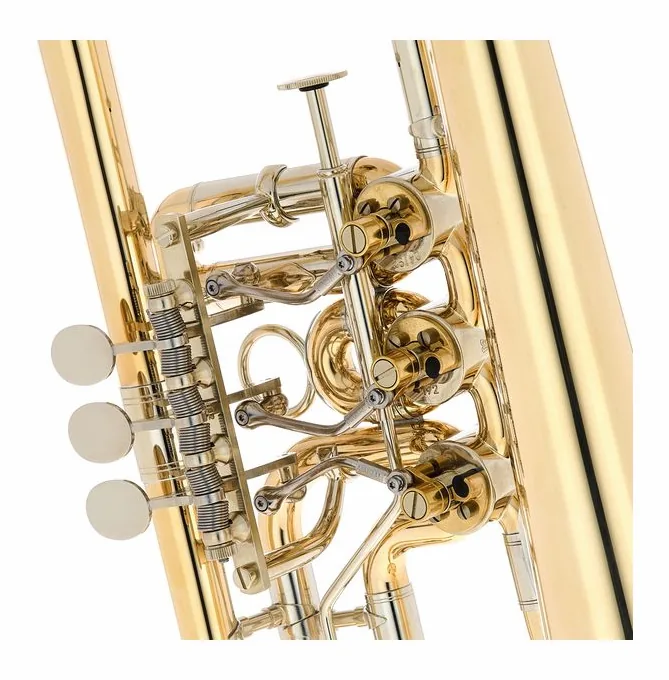 Gerd Dowids BZ-Series Bb-Flugelh. G88 raw, vue 4