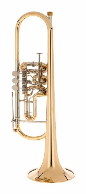 Gerd Dowids BZ-Series G72 Bb-Trumpet, vue 2