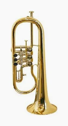 Gerd Dowids BZ-Series Bb-Flugelhorn G88 GP