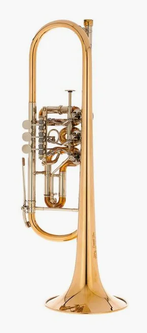 Gerd Dowids BZ Series GL72 Bb-Trumpet, vue 2