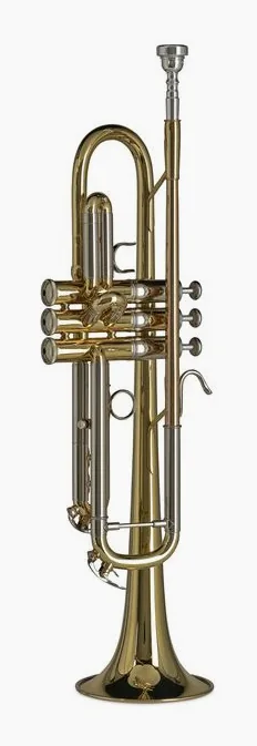 Gewa Bb-Trumpet TR372 RL Vision, vue 2