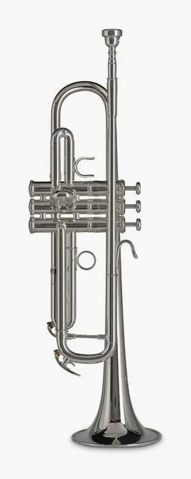 Gewa Bb-Trumpet TR372 RS Vision, vue 2