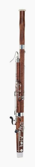 Guntram Wolf Bassoon S 2000 Plus, vue 2