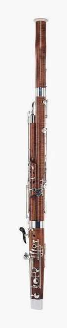 Guntram Wolf Bassoon S 2000 Plus, vue 4