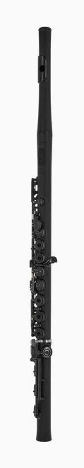 Guo Grenaditte C Flute, vue 2