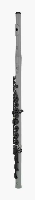 Guo New Voice C Flute Macarons, vue 2
