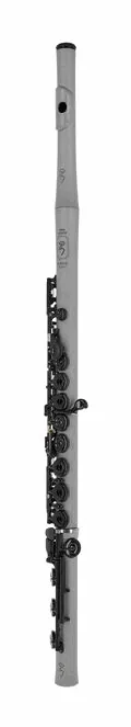 Guo New Voice C Flute Slate Grey, vue 2