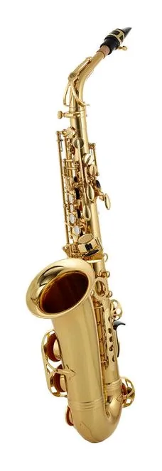 Hamaril  Saxophone Set 2 Alt