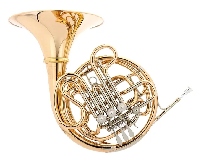 Hans Hoyer 6801GA-L Double Horn, vue 2