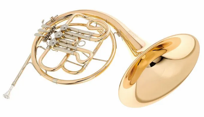 Hans Hoyer 702G-L, vue 4