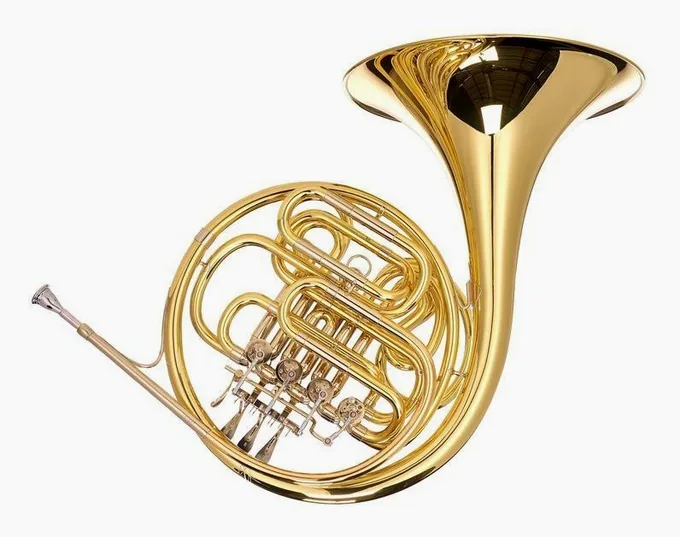 Hans Hoyer 801-L Double Horn, vue 3