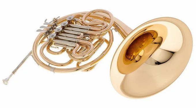 Hans Hoyer 801GA-L Double Horn, vue 4