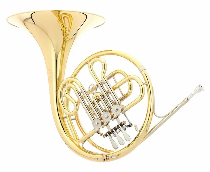 Hans Hoyer 702-L