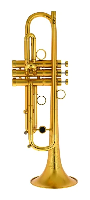 InstruVents Brass Gaia Bb-Trumpet